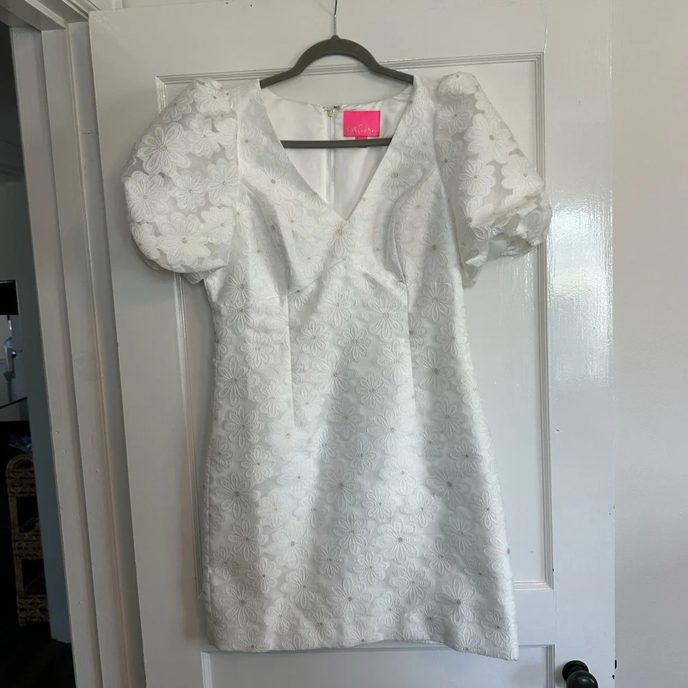 Lilly Pulitzer Citra Organza Dress - Picture 4 of 12
